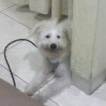 Profile Picture of Alexander Primanov (@alexander.p) on Instagram