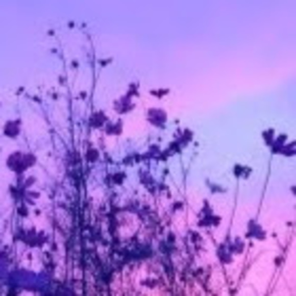 Profile Picture of Martina Smyth (@mgssmyth) on Poshmark