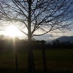 Profile Picture of Thomas De Lucia (@delu_thomas) on Instagram