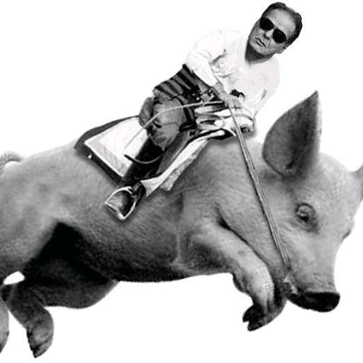 Profile Picture of Felix Rego (@felix_rego) on Tiktok