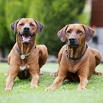 Profile Picture of Lisa Barker (@lisacb26) on Instagram