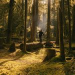 Profile Picture of Michael Brandon Newport (@michaelbrandon1490) on Instagram