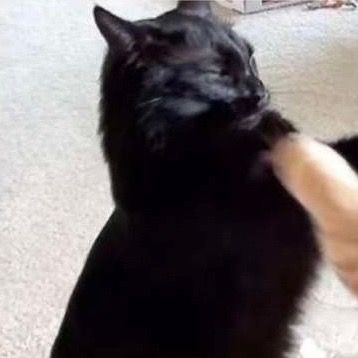 Profile Picture of daniel (@danielhutchings79) on Tiktok