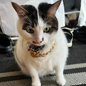 Profile Picture of Lisa Pallo (@lisapallo6441) on Youtube