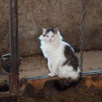 Profile Picture of Kevin (@kevinseibel8) on Instagram