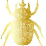 Lori Nicholas / India Hicks - Instagram Profile Picture of Lori Nicholas / India Hicks (@lorinicholasindiahicks) on Instagram