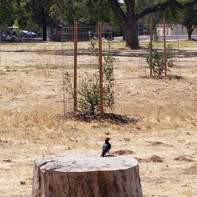 Profile Picture of Chris Huitron (@chuitron2208) on Twitter