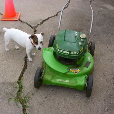 Profile Picture of Howard Fishkin (@SpikeTheDawg) on Twitter