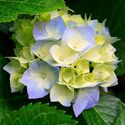 Profile Picture of Ella Moore (@ellamoore9633) on Youtube