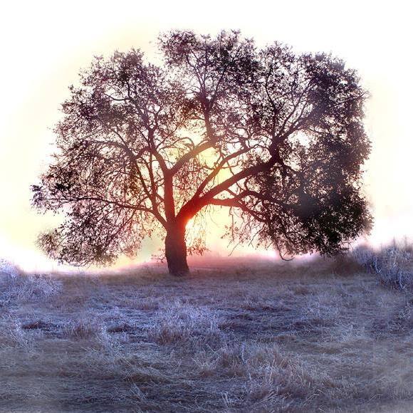 Profile Picture of Kyle Winters (@mtnzzzz) on Poshmark