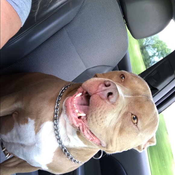 Profile Picture of Sydney Spry (@sydney199375) on Poshmark