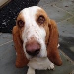 Profile Picture of Cenus Franzia (@ciecie.1943) on Instagram