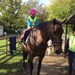 Jody Hodges - Instagram Profile Picture of Jody Hodges (@jodymhodges) on Instagram