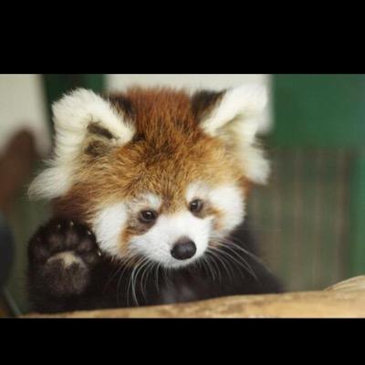 Profile Picture of Paula Mason (@paulamason514) on Twitter