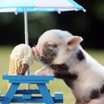 Profile Picture of Lizeth Solis (@lizeth._sup) on Instagram