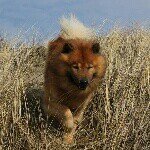 James Rota - Instagram Profile Picture of James Rota (@jamesrota1994) on Instagram