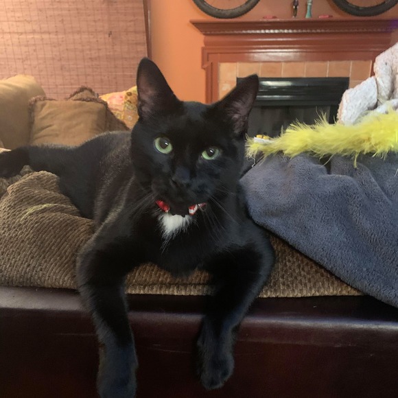 Profile Picture of David Dekker (@djdekker70) on Poshmark