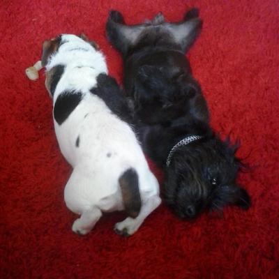 Profile Picture of Michelle McCluskey (@michelle19725) on Twitter