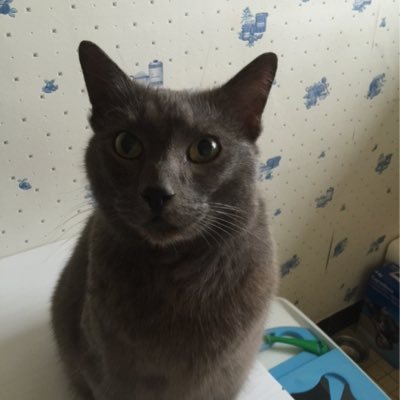 Profile Picture of Vince Duval (@VinceduvalVince) on Twitter