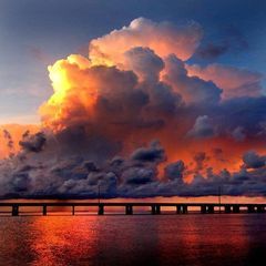 Profile Picture of SoulShineSoap SharonAllbritton (@sharonallbrittons) on Tiktok