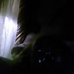 Profile Picture of leewilson (@dorispettis60) on Instagram