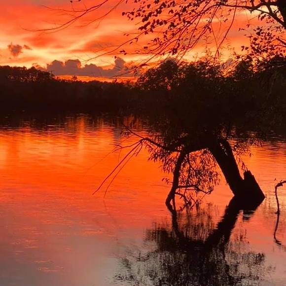 Profile Picture of Wayne Bradby (@waynebradby) on Poshmark