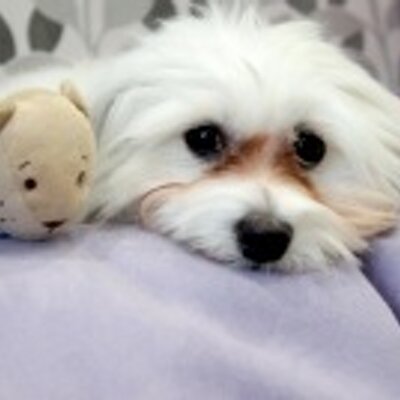 Profile Picture of Paula Valadares (@layexne) on Twitter