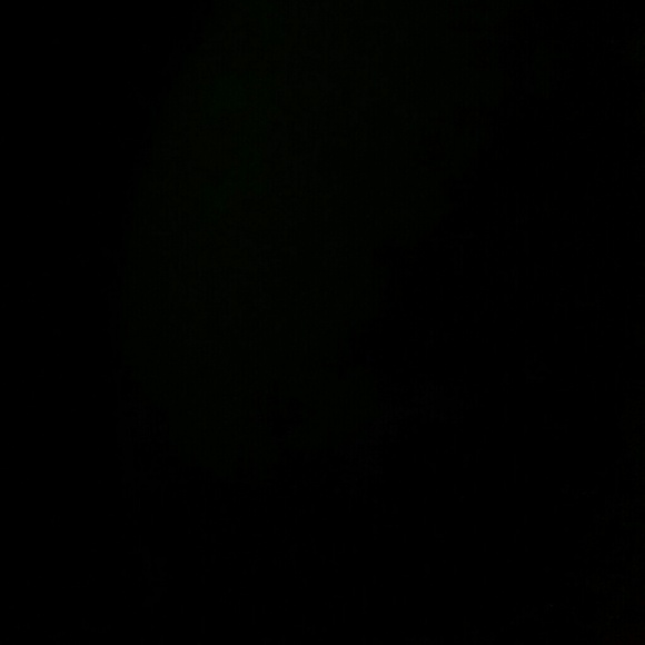 Profile Picture of Aaliyah Watson (@aaliyahwatson99) on Poshmark