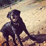 Profile Picture of Joe Stephenson (@joe_stevo_04) on Instagram