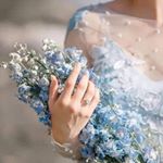 Profile Picture of Tamara Abdallah (@tamaraabdallah5) on Instagram