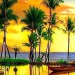 Profile Picture of Mike Schuster (@schuster9699) on Instagram