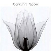 Profile Picture of David Julian Lake (@david-julian-lake) on Quora