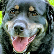 Profile Picture of Joe Serafin (@josephserafin) on Youtube