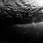 Chris Kinsel - Instagram Profile Picture of Chris Kinsel (@chriskinseldotcom) on Instagram