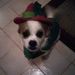 Profile Picture of Patty Gosche (@im4jesus) on Pinterest