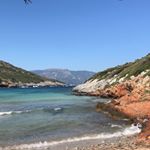 Profile Picture of Fern Harrison (@fernh03) on Instagram