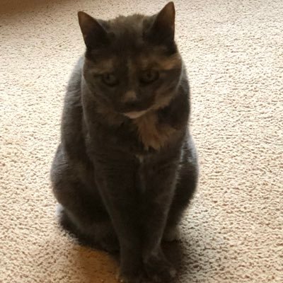 Profile Picture of Sherrihost (@sherrihost1) on Twitter