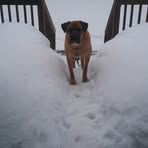 Profile Picture of Larry Pieczynski (@larry.pieczynski.5) on Facebook