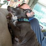 Profile Picture of Josh Newport (@newport.josh) on Instagram