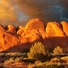 Profile Picture of Daniel Nalepa (@nalepa_daniel) on Twitter