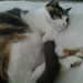 Profile Picture of christy keizer (@christykeizer) on Pinterest