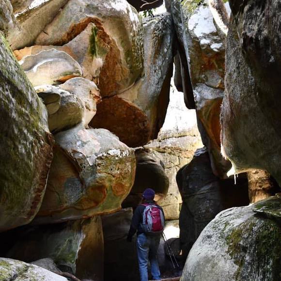 Profile Picture of Tammy Hale (@tammy_hale) on Poshmark