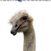 Profile Picture of Pat Judge (@patjudge6944) on Youtube