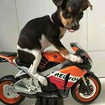 Wallison De Paula Meireles - Instagram Profile Picture of Wallison De Paula Meireles (@tato_meireles) on Instagram