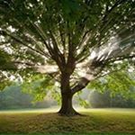 Profile Picture of Bobbie Rivas (@bobbierivas) on Instagram