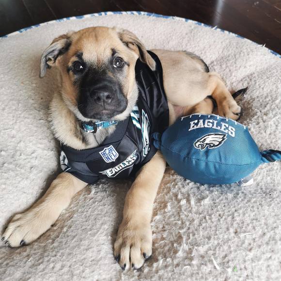 Profile Picture of Amanda Morcos (@amandamorcos) on Poshmark