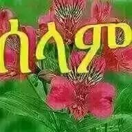 Profile Picture of Mekonnen Hailu (@mekonnenhailu12) on Twitter