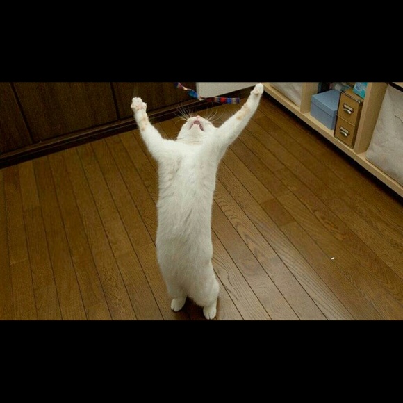 Will Franklin - Poshmark Profile Picture of Will Franklin (@wbatth40) on Poshmark