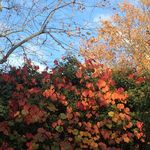 Profile Picture of Christine Godeau Photographe (@christine_godeau_photographe) on Instagram