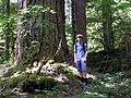 Profile Picture of Trapper Creek Wildernesson Wikipedia
